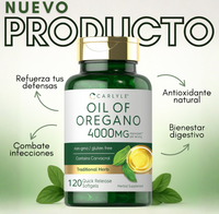 OREGANO CARLYLE X120